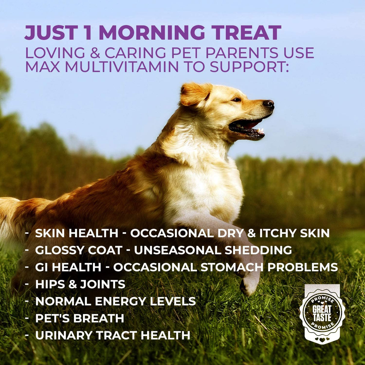 Mighty Petz MAX Dog Multivitamin - Senior & Adult Dog Vitamins 10 in 1 Complete Support for Joints, Immunity, Mobility, Gut, Energy, Skin Health, Pet Multivitamin Daily Chewable Supplement