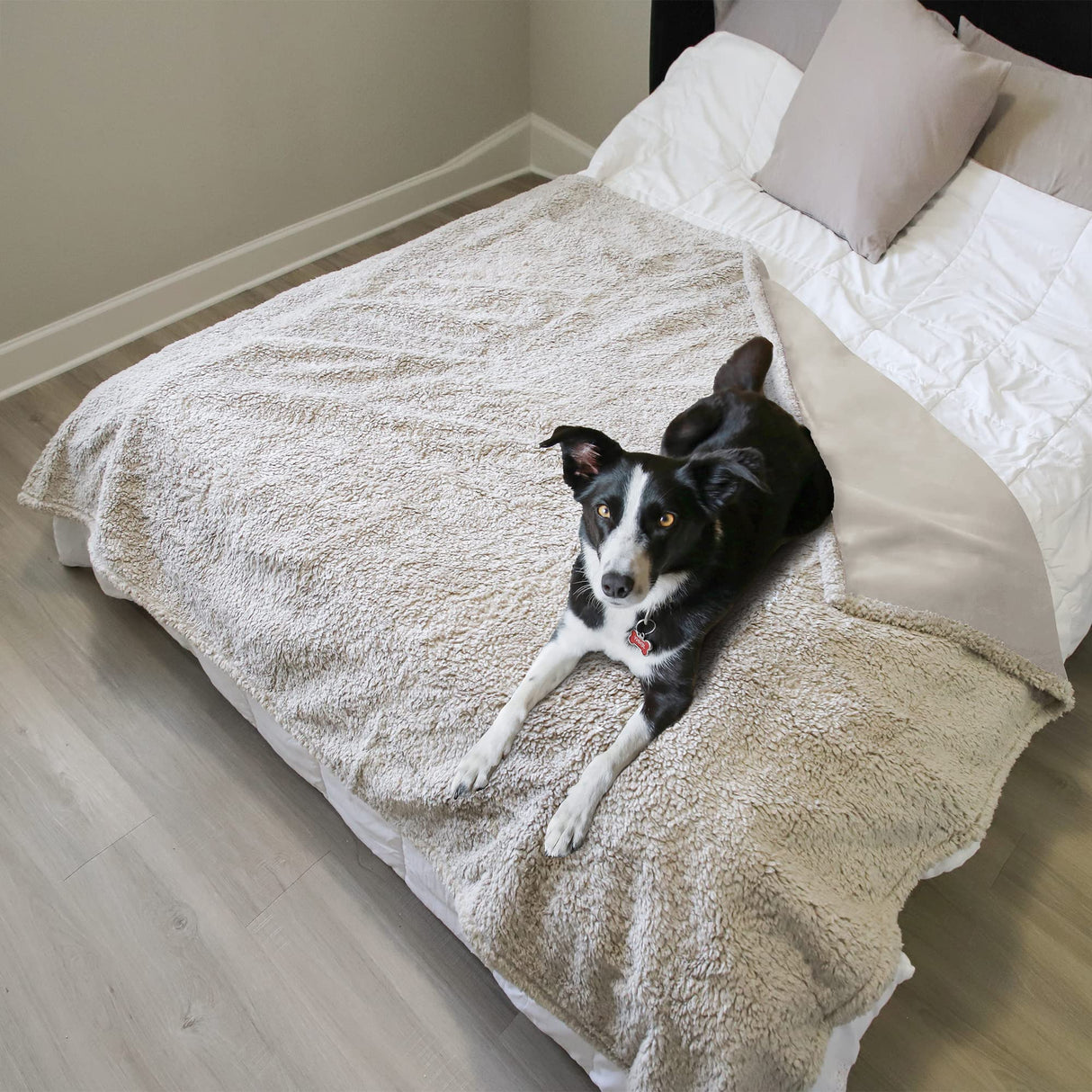 Kritter Planet Large Waterproof Bed Blanket for Intimacy, King Size Love Couples Bed Cover Leakproof, Reversible Protector Furniture Couch Cover for Dogs Pets, Washable, Stain Proof, Hair Resistant
