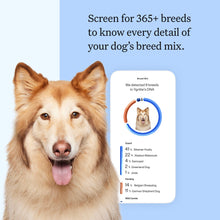 Load image into Gallery viewer, Wisdom Panel Breed Discovery Dog DNA Kit: Most Accurate Dog Breed Identification, Test for 365+ Breeds, MDR1 Health Test, Ancestry, Relatives
