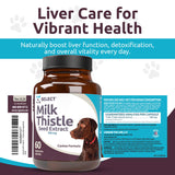 K9 Select Milk Thistle for Dogs, 100mg - 60 Vegetable Capsules - Canine Liver Health Milk Thistle Supplement - Milk Herbal