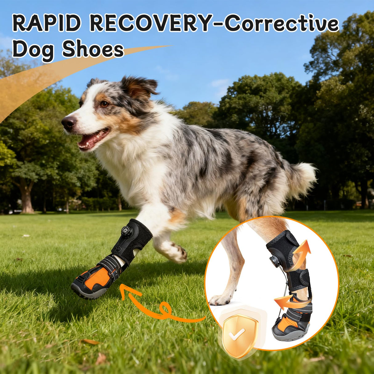 YAQUHO No Knuckling Brace for Dogs - Drop Foot Support with Adjustable Reel, Corrective Outdoor Pet Shoes - Helps Lift Toes for Nerve Conditions, Arthritis & Mobility Issues (S)