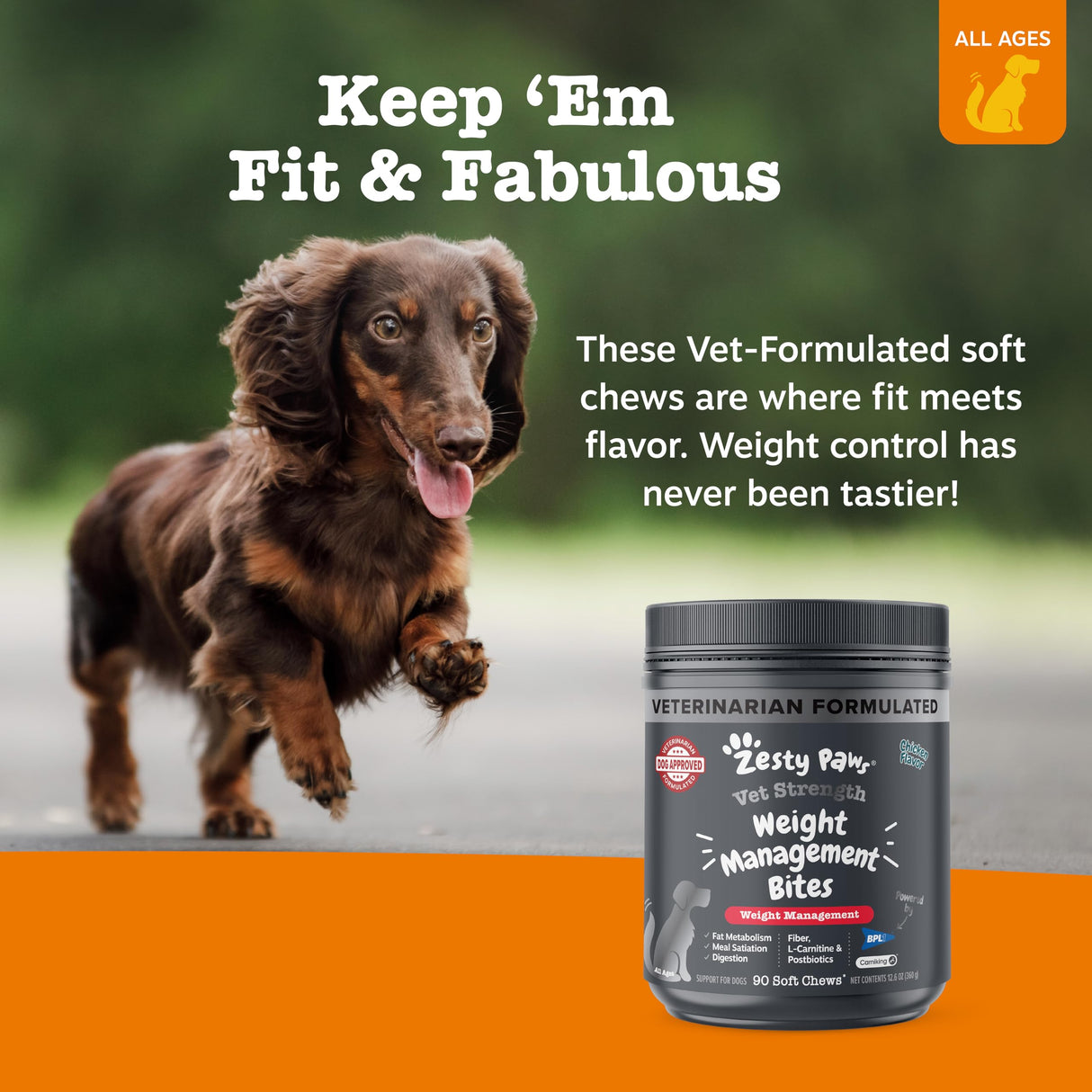 Zesty Paws Weight Management Bites for Dogs - Veterinarian Formulated - Metabolism & Appetite Control - L-Carnitine, Fiber, Postbiotics & B Vitamins - Healthy Weight Dog Supplement - 90 Count
