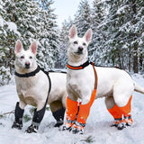 Dog Suspender Boots, Anti-Slip & Fall Waterproof Dog Shoes Leggings, Dog Paw Protector for Small Medium Dogs, Adjustable Dog Boots Pet Shoes for Outdoor Walking