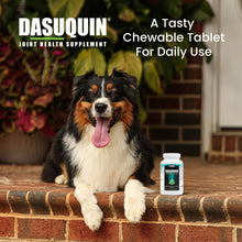 Load image into Gallery viewer, Nutramax Dasuquin for Small to Medium Dogs, Joint Health Supplement, Contains Glucosamine for Dogs, Plus Chondroitin, ASU and More, Supports Healthy Joints, Chewable Tablets, 150 Count
