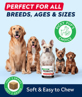 STRELLALAB Dog Probiotics Chews + Enzymes Gut Health Support - Anti Gas, Diarrhea and Upset Stomach Immune Supplement - Digestion Treats with Fiber (180Ct, Chicken)