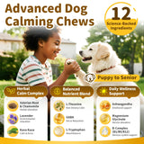 POPPAW Calming Chews for Dogs – 12-in-1 Dog Calming Treats with Herbal & Vitamins, Relaxation, Focus & Behavior Support for Anxiety, Separation, Barking, Travel, Stress, Upgraded Bacon Flavor, 90 Ct