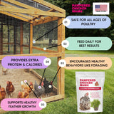 Pampered Chicken Mama Backyard Chicken Molting Supplement: Fluffiest Feathers Ever Backyard Chicken Feed and Supplies for Hens (6 Pound Economy Size)