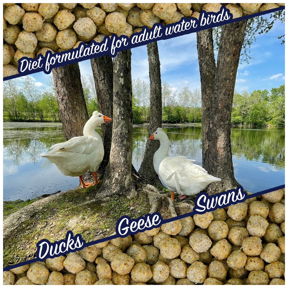 Waterfowl Feed Open Water Diet 40 lb | for Feeding Ducks Geese Swans | Floating Pellets with Niacin for Ducks