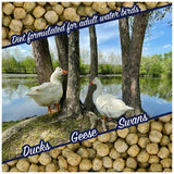 Waterfowl Feed Open Water Diet 40 lb | for Feeding Ducks Geese Swans | Floating Pellets with Niacin for Ducks