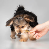 Fieldcrest Farms Nothin' to Hide Twist Stix, Beef Flavor, Easily Digestible, Supports Skin, Coat, Joints & Muscles, for Moderate Chewers Under 15lbs, 50 Pieces