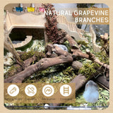 kathson 2PCS Wood Hamster Climbing Branches Decor, Natural Wooden Syrian Hamster Climb Chewing Toys, Rat Exercise Toys, Small Animal Habitat Decor Accessories for Dwarf Pets, Gerbils, Mice (7.8IN)