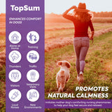 TopSum Calming Diffuser for Dog: 3 Pack Dog Pheromones Calming Diffuser Plug for Stress, Barking, Chewing, Pee Accidents & Separation Behaviors (3 Diffusers + 3 Refills)