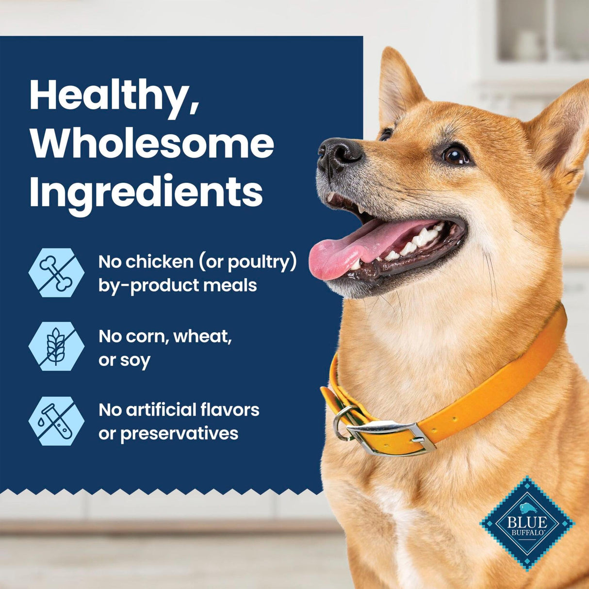 Blue Buffalo Medium Dental Chews for Dogs, Daily Dental Care Dog Treats Made in The USA with Natural Ingredients, Chicken & Spearmint (14 Count)