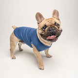 Adopt Me Dog Tee Shirt | Sleeveless Breeds | Adopt & Rescue | Puppy | New Dog |Royal Blue, 3X-Large 326
