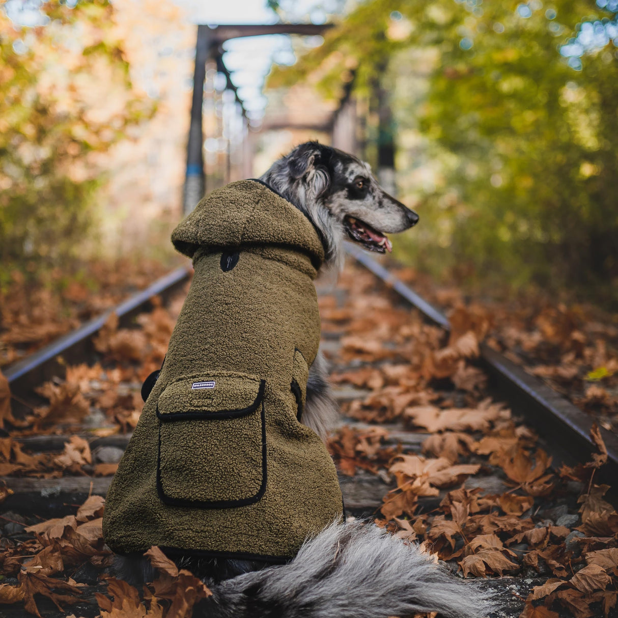 Wilderdog Double-Layered Hooded Sherpa Fleece Dog Jacket with Belly Strap, Leash Hole, Back Snap Pocket