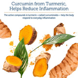Rx Vitamins CurcuWIN - Curcumin for Dogs & Cats - Vitamins and Supplements, Allergy Relief - Provides Immune Support & Aids Digestive Support - Joint Supplement - 90ct