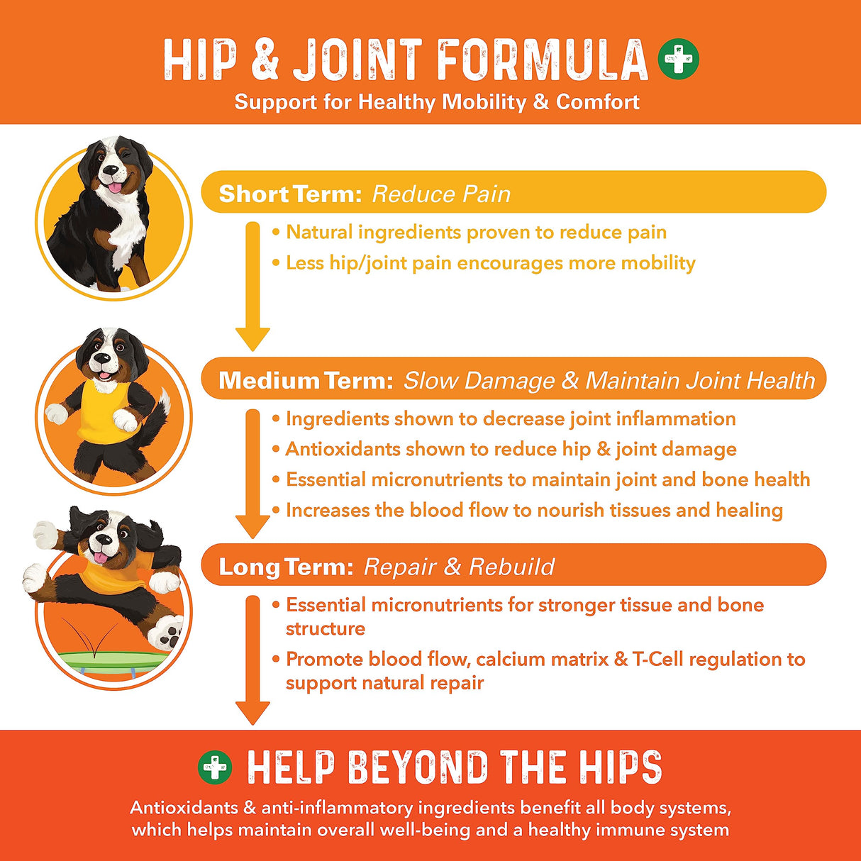Bernie's Healthy Hips - Daily Dog Hip & Joint Supplement - 90 Soft Chews - Reduce Pain, Encourage Mobility, Slow Damage, Repair and Rebuild Hips & Joint Tissues