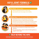 Bernie's Healthy Hips - Daily Dog Hip & Joint Supplement - 90 Soft Chews - Reduce Pain, Encourage Mobility, Slow Damage, Repair and Rebuild Hips & Joint Tissues