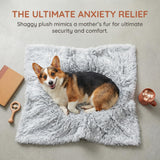 PJYuCien Dog Blankets for Medium Large Dogs Washable - Fluffy Fuzzy Cat Blanket for Couch, Puppy Throw for Furniture with Polyester Fleece, Super Soft Plush for Pet Kitten Doggy, Grey, 50" x 60"