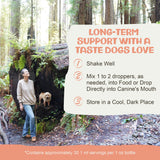 MycoDog Lions Mane Mushroom Supplement for Dogs - Cognitive & Brain Health - Lions Mane for Dogs - Senior Dog Wellness Drops