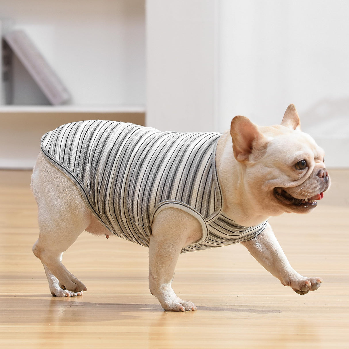 Knuffelen Dog Shirts Vest Cotton Striped T-Shirt, Sleeveless Stretchy Pet Clothes for Small Dogs, 2-Pack Soft Breathable Puppy Tank Top Cat Tee (Large, Black,Gray)