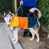 Eddie Bauer E23210XL Ravenna Colorblocked Dog Windbreaker Jacket in XL, Orange and Blue