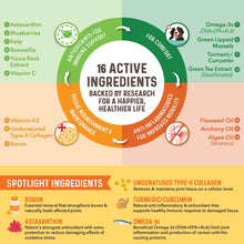 Load image into Gallery viewer, Bernie's Healthy Hips - Daily Dog Hip &amp; Joint Supplement - 90 Soft Chews - Reduce Pain, Encourage Mobility, Slow Damage, Repair and Rebuild Hips &amp; Joint Tissues
