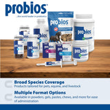 Probios for Dogs Soft Chews, Probiotics for Dogs, Daily Supplement for Gut Health, Digestion & Immune Support, Small Breeds, 4.23oz