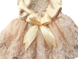 Vedem Pet Dog Floral Embroidered Lace Wedding Dress (XS, Gold)