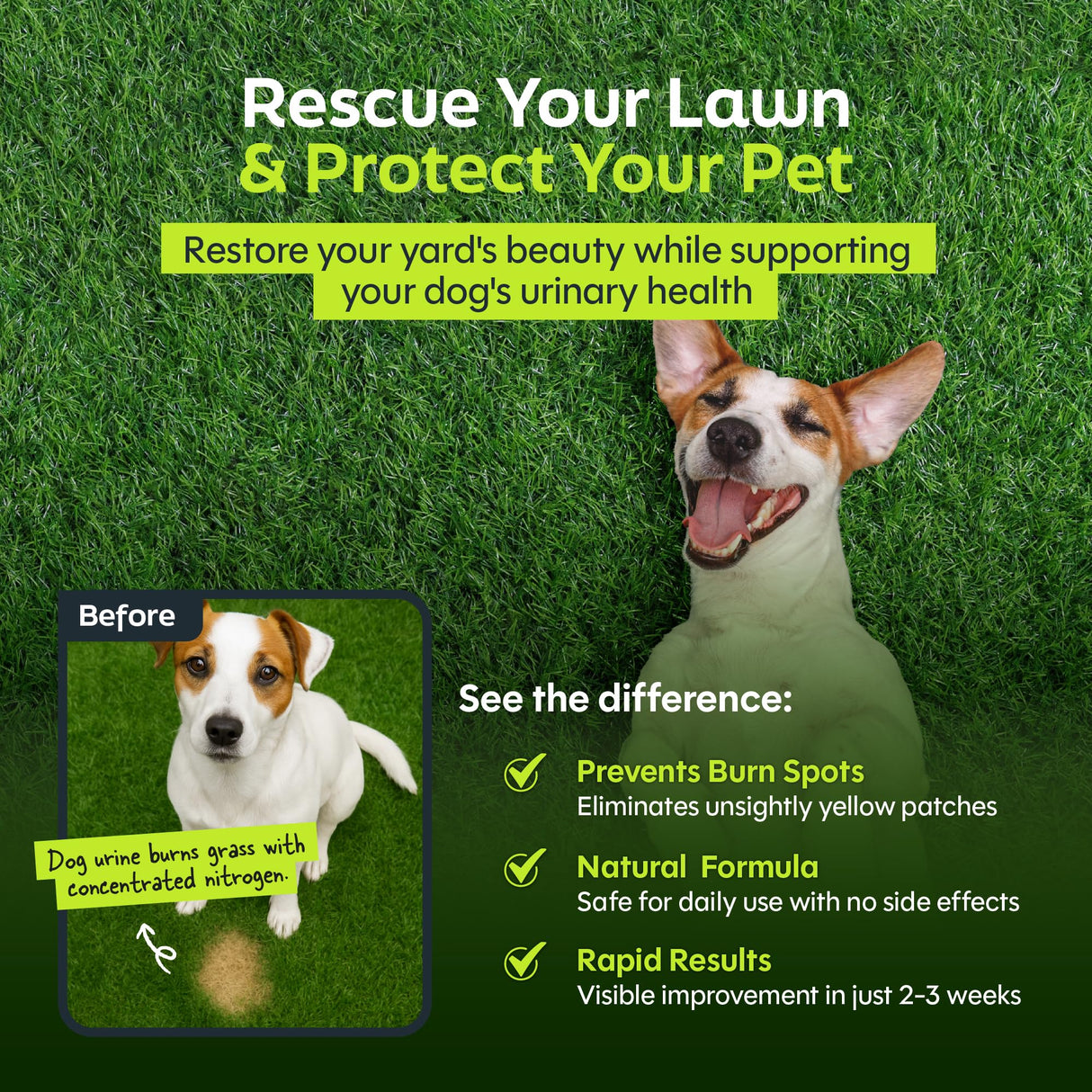 Daybreak Nutrition Green Relief Dog Urine Neutralizer for Lawn - Natural Grass Saver Powder Supplement with L-Methionine, Cranberry & Probiotics - Prevents Yellow Patches from Dog Pee - Made in USA