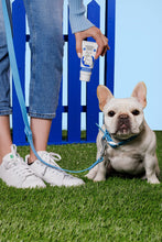 Load image into Gallery viewer, Squishface Wrinkle Paste - Bulldog, French Bulldog, Pug, English Bulldog – Cleans Wrinkles, Tear Stain, Tail Pockets, and Paws – Anti-Itch Tear Stain Remover &amp; Bulldog Wrinkle Cream, 2 Oz.
