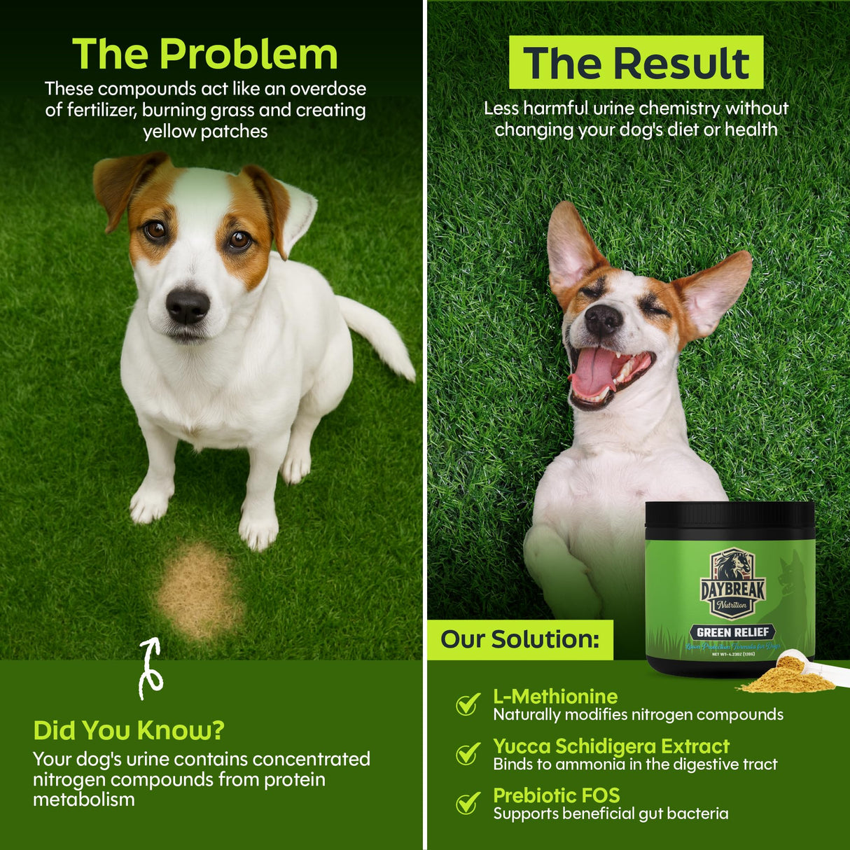 Daybreak Nutrition Green Relief Dog Urine Neutralizer for Lawn - Natural Grass Saver Powder Supplement with L-Methionine, Cranberry & Probiotics - Prevents Yellow Patches from Dog Pee - Made in USA