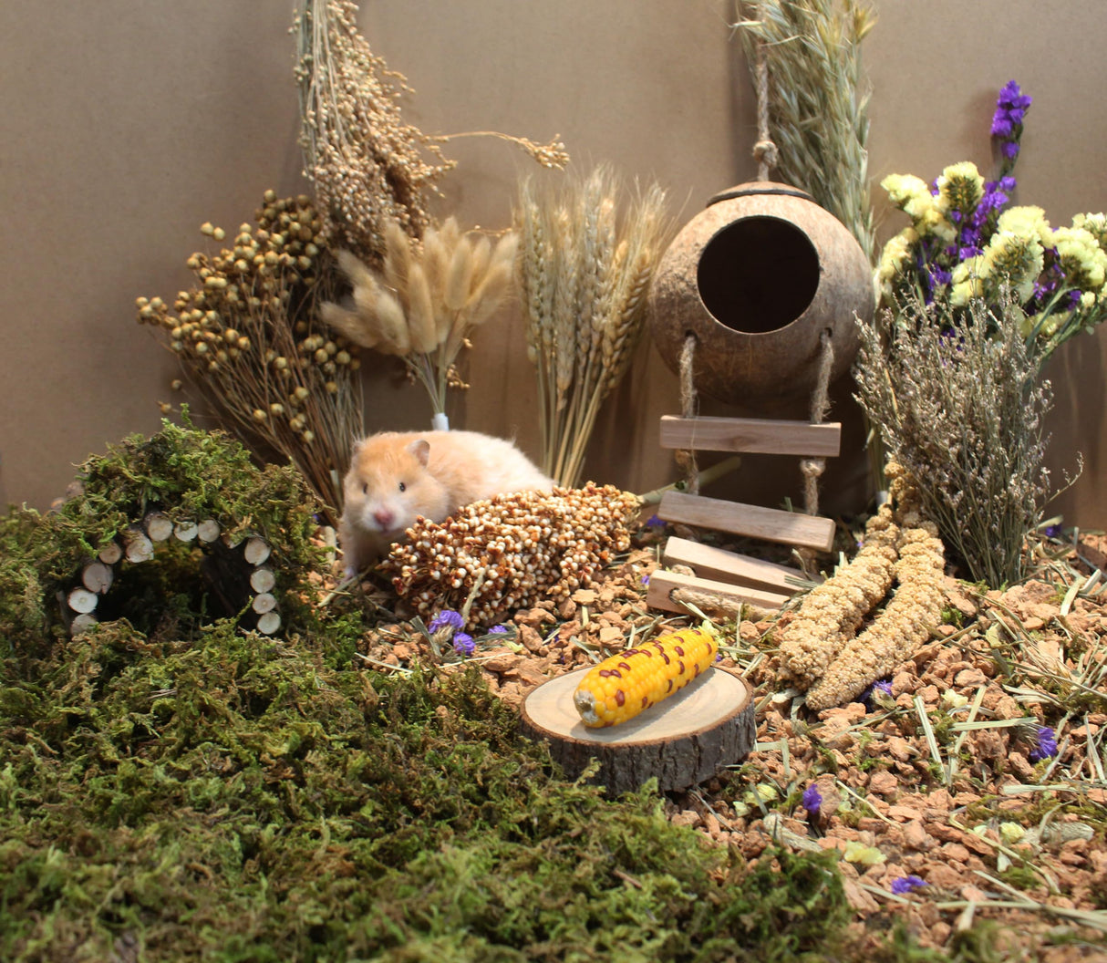 JFWOD Natural Hamster Bedding Flowers Herbs Sprays Treat for Cage Habitat Enclosure Decor for Dwarf Syrian Gerbils Mice Mouse Rat Pet Accessories Supplies