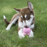 KONG Easy Treat Puppy 14 oz - Pack of 2