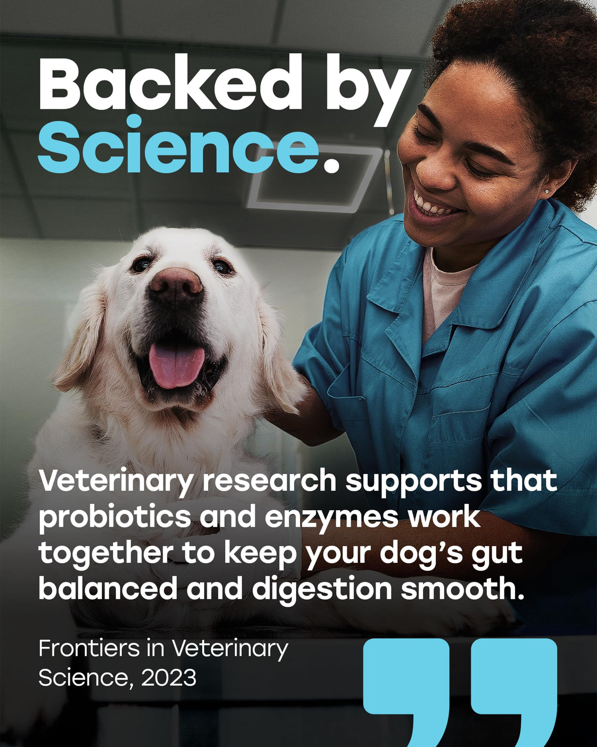 Pup Choice Chewable Dog Probiotics – All-in-One PhD-Endorsed Digestive Enzymes, Prebiotics, Turmeric, Omega-3 & Fiber – Gut, Diarrhea, Itchy Skin & Ear Support – All Ages, Made in USA, 140 Beef Chews