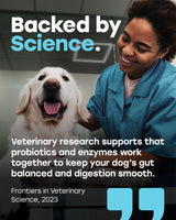 Pup Choice Chewable Dog Probiotics – All-in-One PhD-Endorsed Digestive Enzymes, Prebiotics, Turmeric, Omega-3 & Fiber – Gut, Diarrhea, Itchy Skin & Ear Support – All Ages, Made in USA, 140 Beef Chews