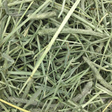 Oxbow Western Timothy Hay, Guinea Pig Hay, Small Pet Bunny Supplies, All Natural Grass for Guinea Pig, Bunny, Chinchilla & Hamster, Oxbow Rabbit Supplies for Bunnies, 90 oz. bag