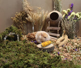 JFWOD Natural Hamster Bedding Flowers Herbs Sprays Treat for Cage Habitat Enclosure Decor for Dwarf Syrian Gerbils Mice Mouse Rat Pet Accessories Supplies