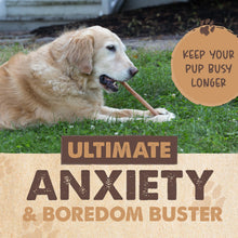 Load image into Gallery viewer, Mighty Paw Long Lasting 12" Bully Sticks for Dogs - All Natural Grass Fed Beef Chews. Lower Odor Dog Bully Sticks for Large Dogs, Medium and Small Breeds. Single Ingredient Treats
