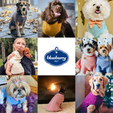Blueberry Pet Dog Sweater - Mustard Yellow Fuzzy Knit Turtle-Neck Christmas Style, Puppy Clothes & Pajamas, Sweater Vest for Small Dogs, Accessories, 10" Back Length