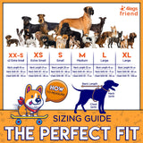 Upgraded Reflective Dog Vest. Hi-Visibility, Fluorescent Blaze Orange Dog Vest Helps Protect Your Best Friend. Safeguard Your PUP from Motorists & Hunting Accidents, On or Off Leash by 4LegsFriend