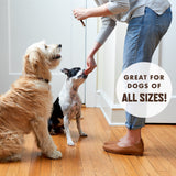 Rocco & Roxie Beef Jerky Dog Treats 1 lb | Soft Training Snacks Made in USA | High Value Beef Jerky for Dogs, Small, Large Breeds, Seniors, and Puppies | Natural Chews for Rewarding Good Behavior