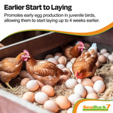 SEABUCK7 Chicken & Bird Supplement with Sea Buckthorn to Improve Egg Quality & Increase Egg Production (1-Month Supply for 20 Chickens)