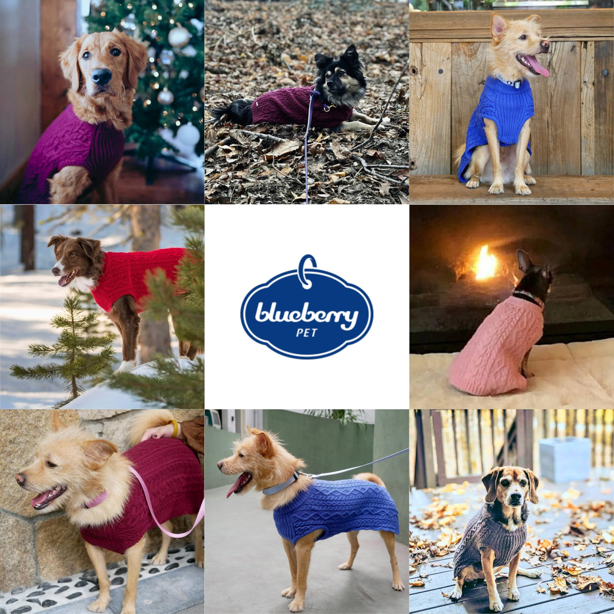 Blueberry Pet Dog Sweater in Alaskan Blue - Award Winning Medium Dog Clothes for Small Dogs, Classic No-Sleeve Wool Blend, 14" Back Length, 18"-22" Chest Girth, Cozy & Warm, Machine-Washable
