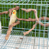 Allazone 5 PCS Natural Grape Stick Perch Swing Chewing Toys for Parrot Cages, Cockatiels, Parakeets, Finches - Bird Standing Stick