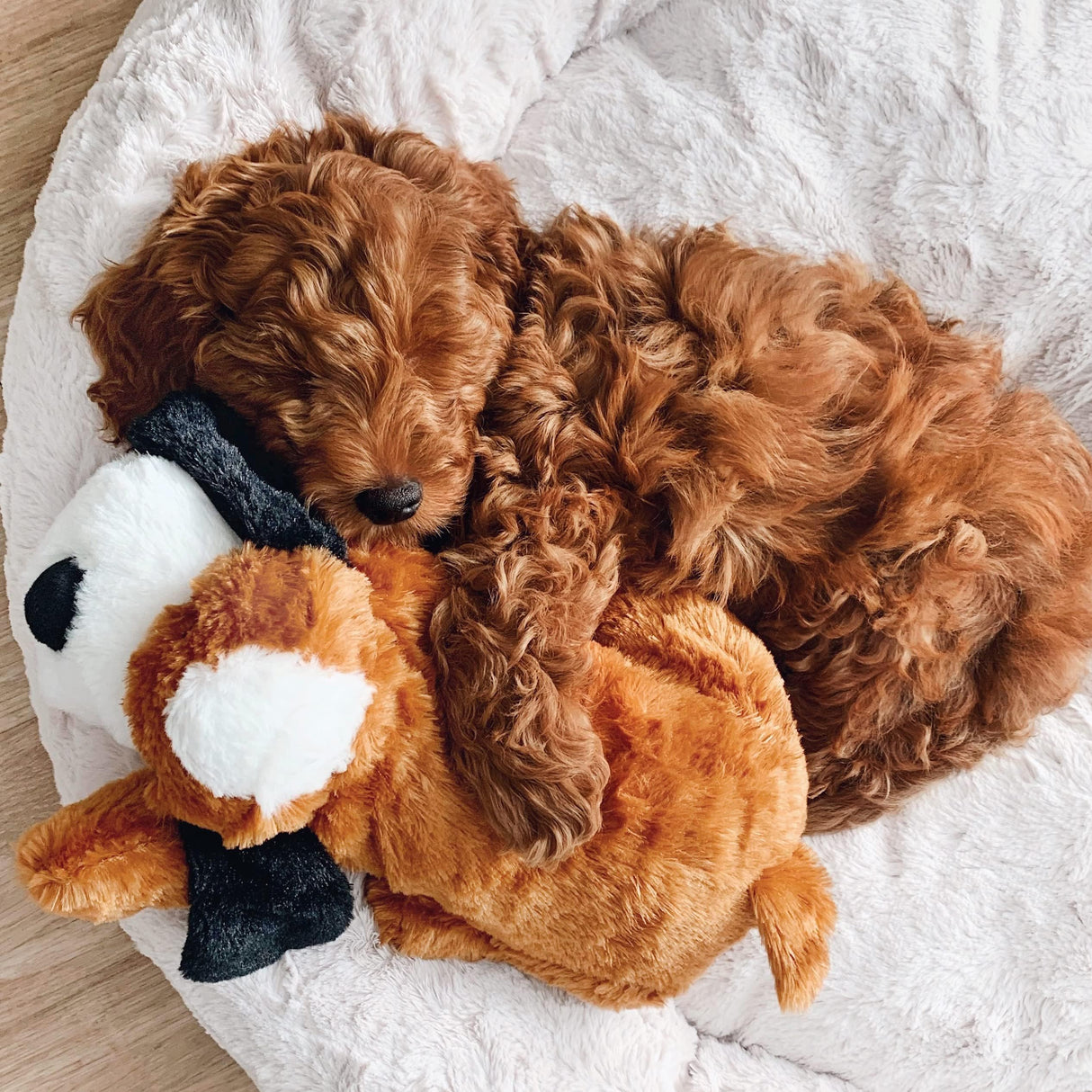 Snuggle Puppy Replacement Motion-Activated SmartBeat Heart for Stuffed Animals and Anti-Anxiety Toys for Dogs