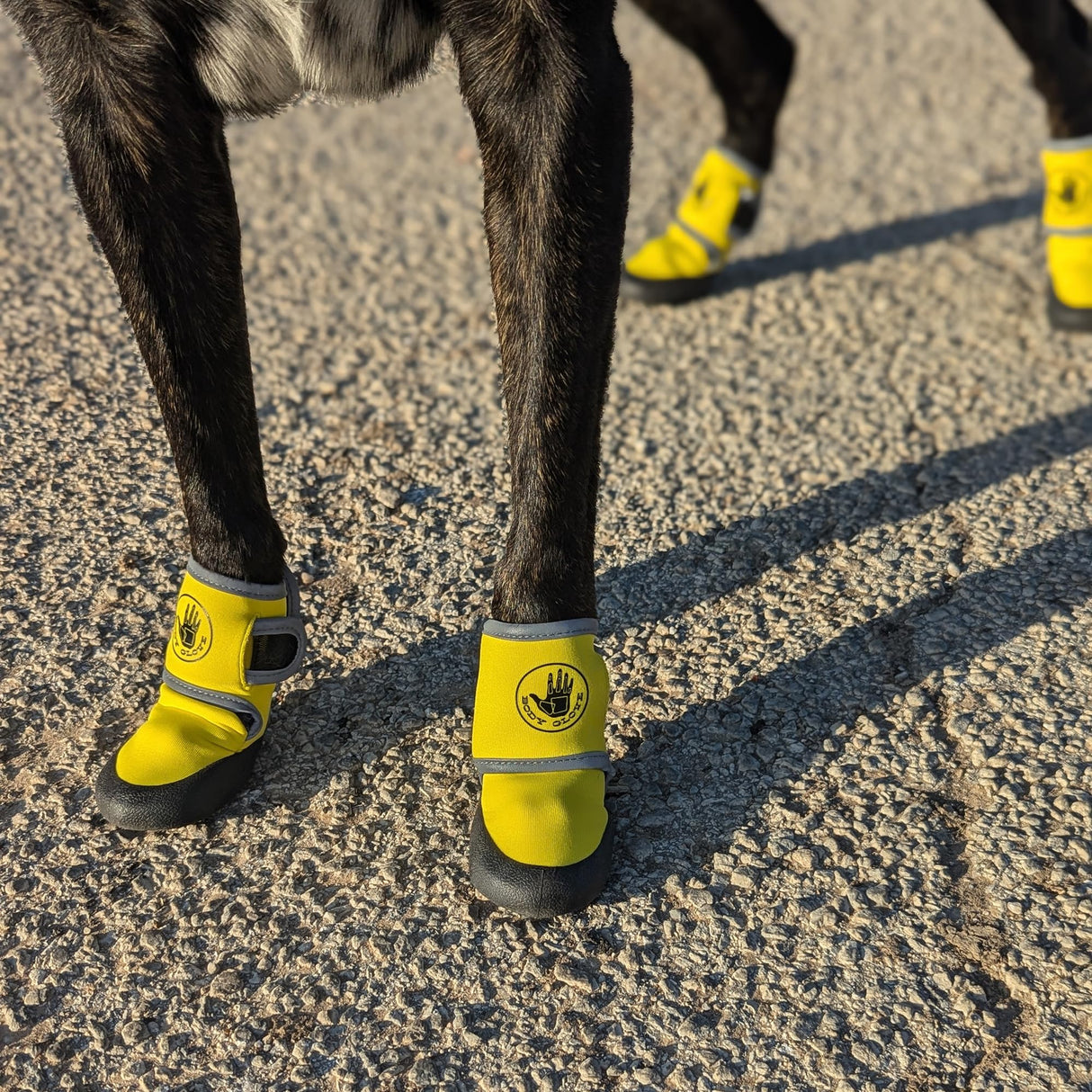 Body Glove Paw Protector Booties (Yellow, X-Large)