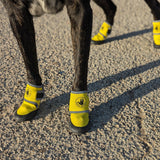Body Glove Paw Protector Booties (Yellow, X-Large)