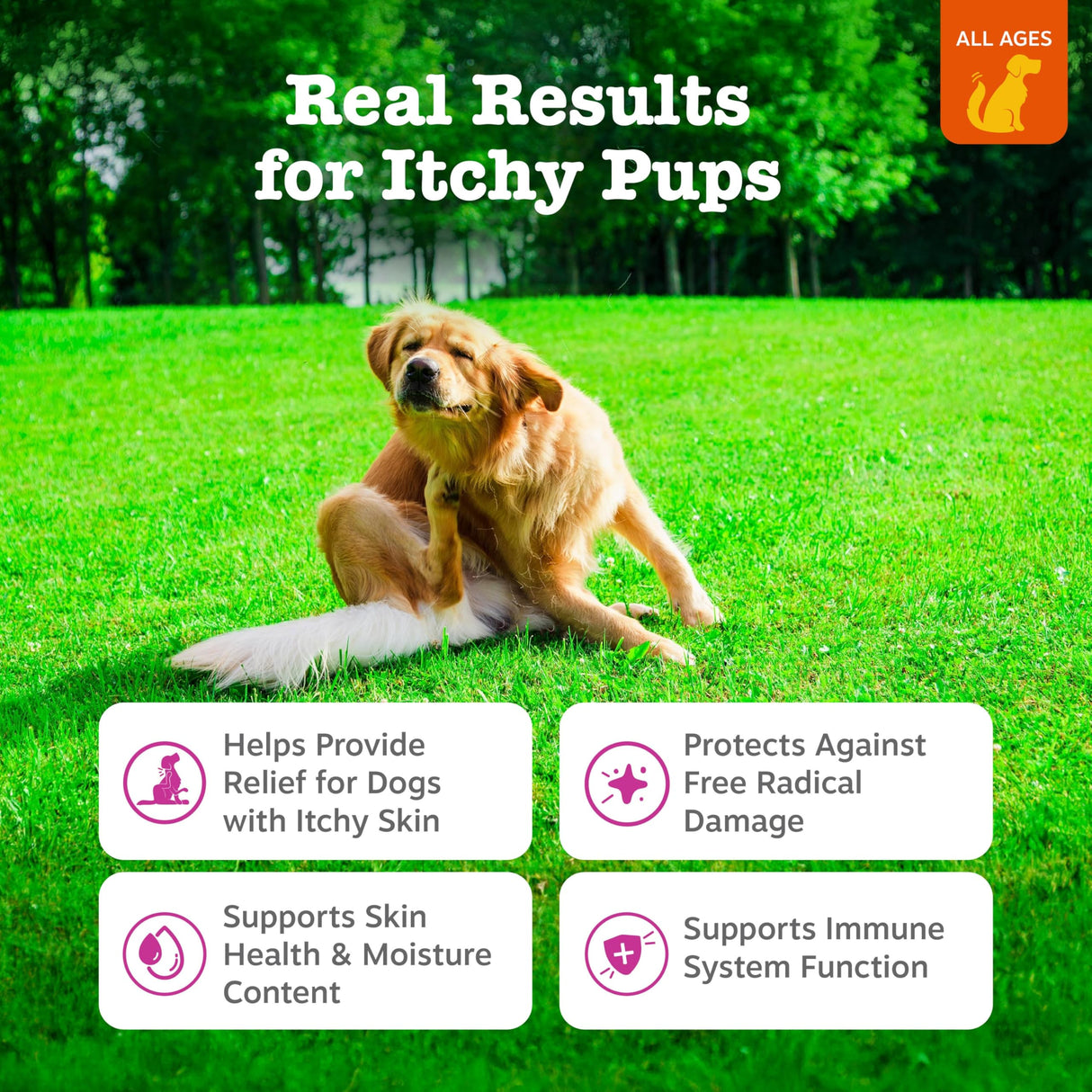 Zesty Paws Itch Relief for Dogs - Chews for Itching Skin & Coat - Omega-3 Fish Oil with EPA & DHA - Dog Allergy Relief Chews Supplement - Vitamin C & E Antioxidant Support - Chicken Flavor - 90 Count