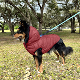 Pawtitas Reversible Windproof Dog Jacket | Water Resistant | Winter Coat for Puppies - Red & Blue Up Dog Vest - Small Breed - Pouch Included
